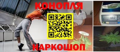 шишки Будённовск