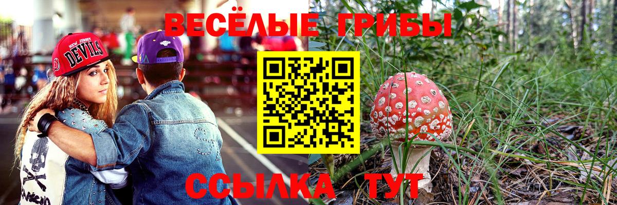 Галлюциногенные грибы мицелий  Галлюциногенные грибы Cubensis  Северобайкальск  Вход с VPN 